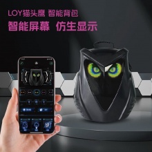 SA0620瑞士军刀LED背包